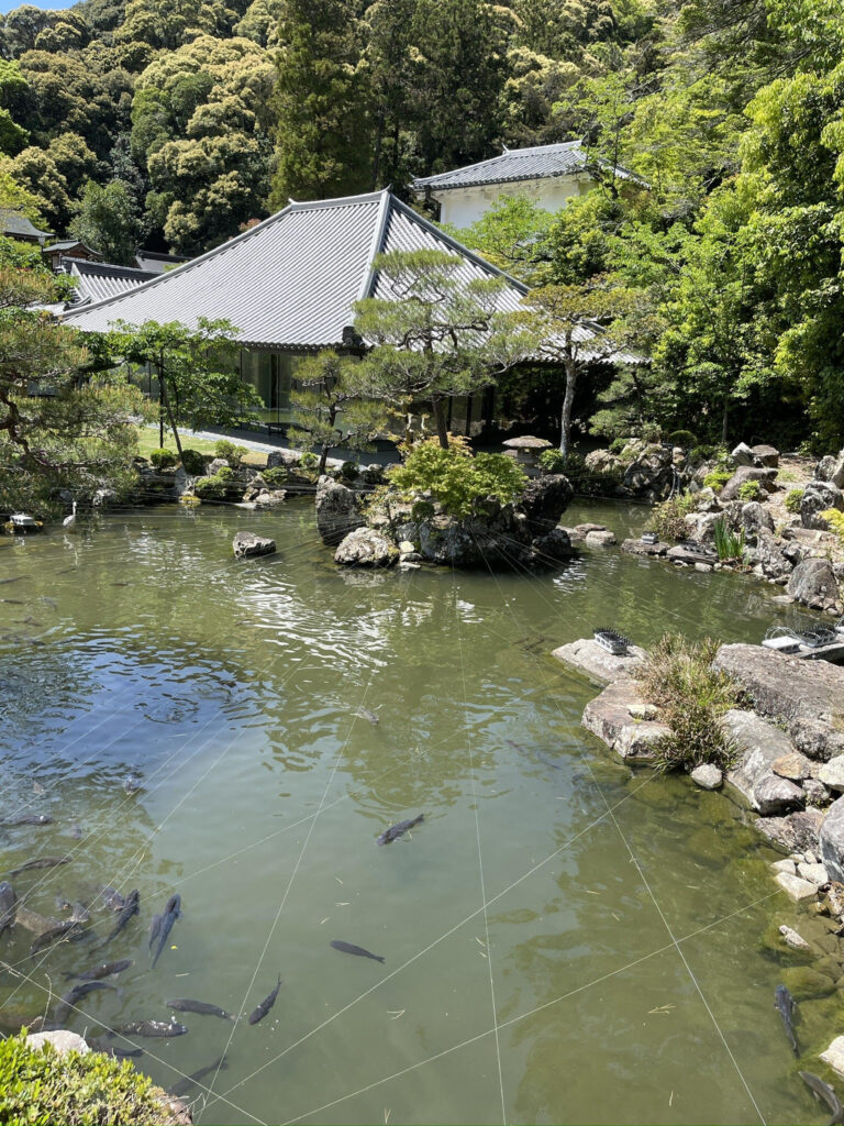 pond garden
